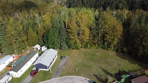 83 Johnson Way, Revelstoke, BC - Outdoor With View