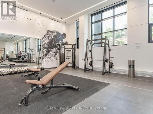 317 - 60 George Butchart Drive, Toronto, ON - Indoor Photo Showing Gym Room