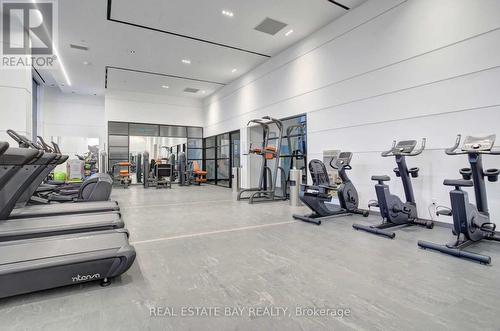 413 - 60 George Butchart Drive, Toronto, ON - Indoor Photo Showing Gym Room