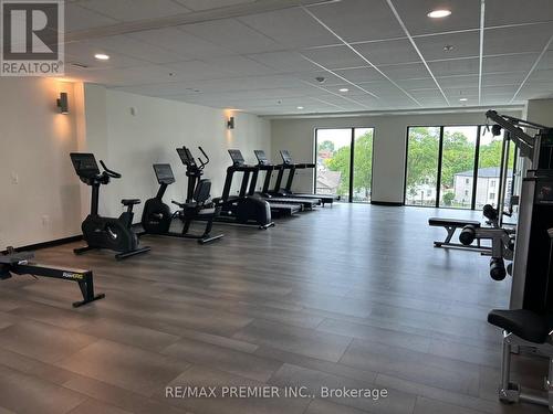 Gl 03 - 50 Herrick Avenue, St. Catharines, ON - Indoor Photo Showing Gym Room