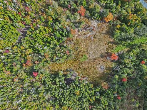 Lot 1Dy-B West Lawrencetown Road, Lawrencetown, NS 