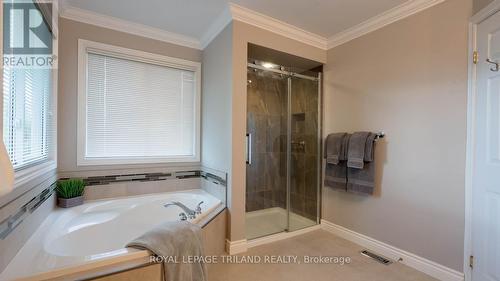 1174 Aintree Road, London, ON - Indoor Photo Showing Bathroom