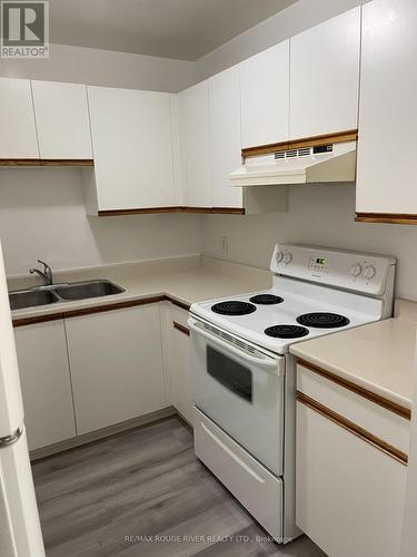 5 - 1122 Upper Wellington Street, Hamilton, ON - Indoor Photo Showing Kitchen With Double Sink