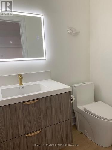 17 Bertram Street, Toronto, ON - Indoor Photo Showing Bathroom