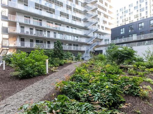 Backyard - 545-2180 Rue Ste-Catherine E., Montréal (Ville-Marie), QC - Outdoor With Facade