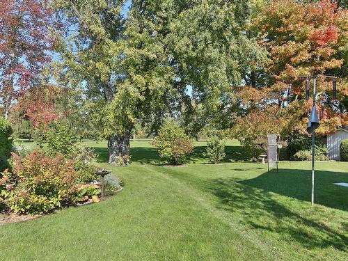 Backyard - 231 Rue Therrien, Saint-Jean-Sur-Richelieu, QC - Outdoor