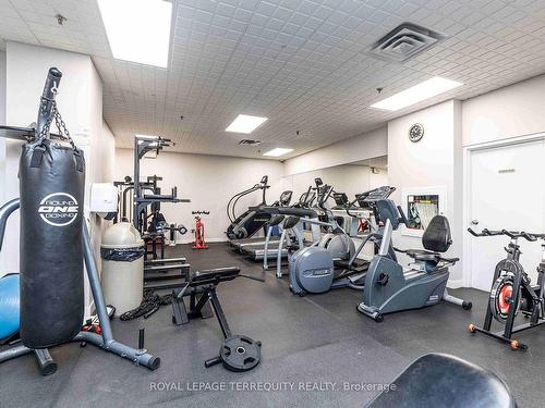 210-300 Manitoba St, Toronto, ON - Indoor Photo Showing Gym Room