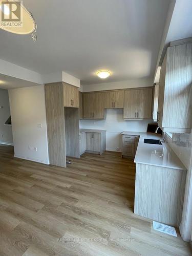 45 - 55 Tom Brown Drive, Brant, ON - Indoor Photo Showing Kitchen