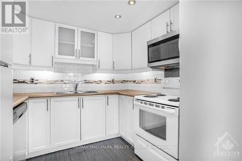 301 - 1005 Laurier Street, Clarence-Rockland, ON - Indoor Photo Showing Kitchen With Double Sink