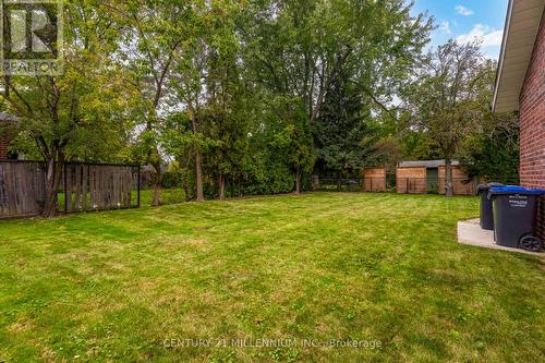 133 Mill Street, Brampton, ON - Outdoor With Backyard