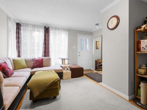 Salon - 553 Rue Alban-Lavigne, Gatineau (Gatineau), QC - Indoor Photo Showing Living Room