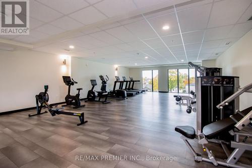 Gl 02 - 50 Herrick Avenue, St. Catharines, ON - Indoor Photo Showing Gym Room