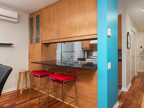 Kitchen - 2-1535 Rue St-Jacques, Montréal (Ville-Marie), QC - Indoor Photo Showing Kitchen With Double Sink