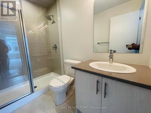 25 - 3546 Colonial Drive, Mississauga, ON - Indoor Photo Showing Bathroom