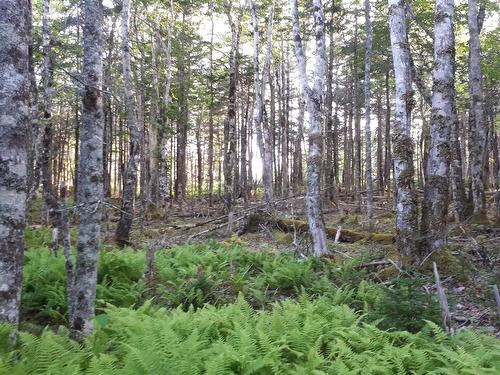 Lot 1A-79 Maple Dr, French Cove, NS 