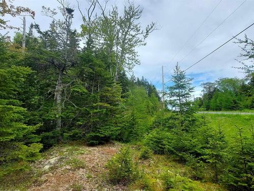 Lot 1A-79 Maple Dr, French Cove, NS 