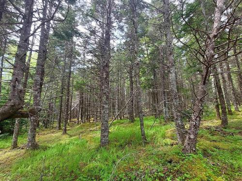 Lot 1A-79 Maple Dr, French Cove, NS 