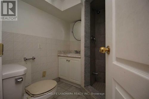 102 Nightstar Drive, Richmond Hill, ON - Indoor Photo Showing Bathroom