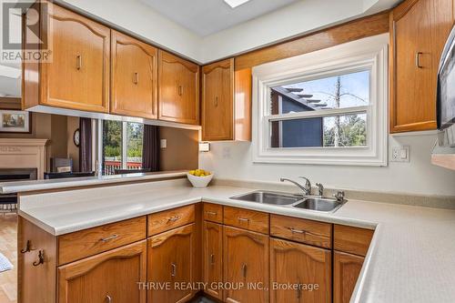 51 Silverbrook Drive, London, ON - Indoor Photo Showing Kitchen With Double Sink