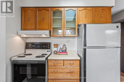 51 Silverbrook Drive, London, ON - Indoor Photo Showing Kitchen