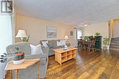 19 Chapel Street, Halton Hills, ON - Indoor Photo Showing Living Room