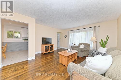 19 Chapel Street, Halton Hills, ON - Indoor Photo Showing Living Room