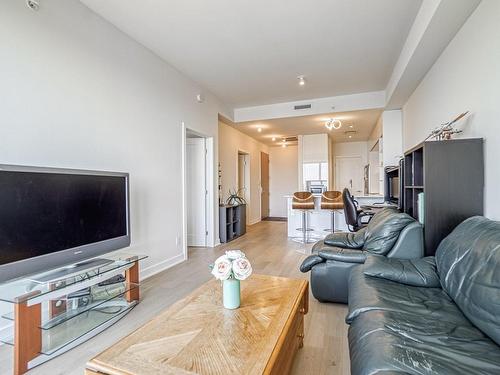 Salon - 3307-151 Rue De La Rotonde, Montréal (Verdun/Île-Des-Soeurs), QC - Indoor Photo Showing Living Room