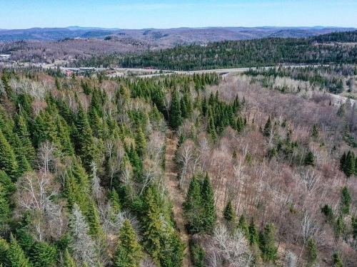 Overall view - 5244 Boul. Labelle, Val-Morin, QC 