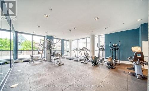 Th #17 - 270 Davenport Road, Toronto, ON - Indoor Photo Showing Gym Room