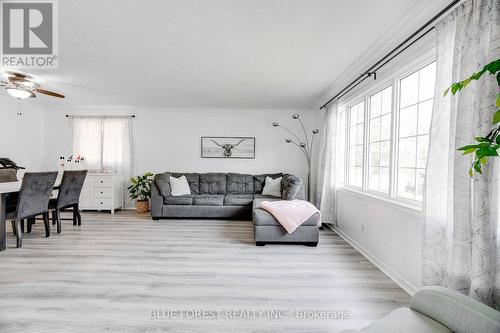 195 Myrtle Street, St. Thomas, ON - Indoor Photo Showing Living Room