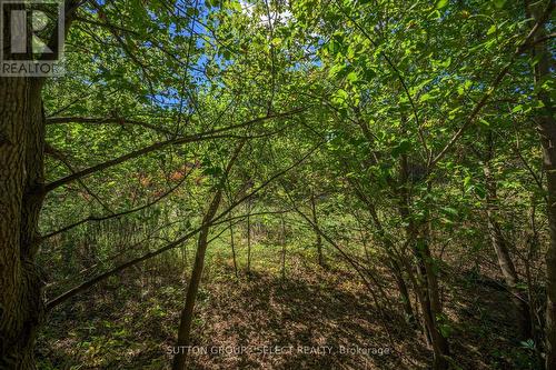 67 St Julien Street, London, ON - Outdoor With View