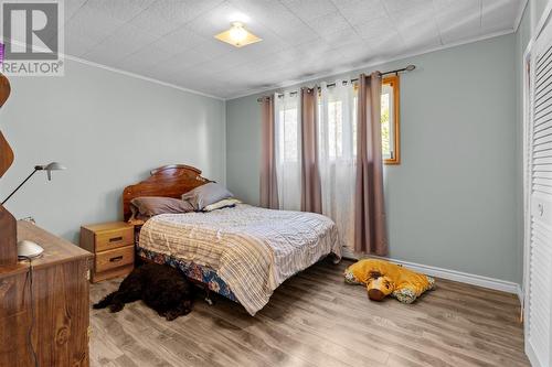 9 Pittman Place, Mount Pearl, NL - Indoor Photo Showing Bedroom