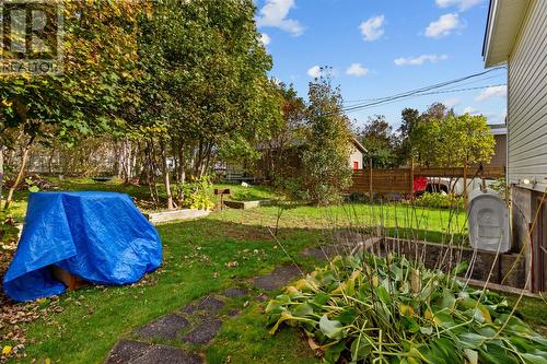 9 Pittman Place, Mount Pearl, NL - Outdoor With Backyard