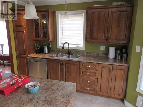 87 Peddle Drive, Grand Falls Windsor, NL - Indoor Photo Showing Kitchen With Double Sink