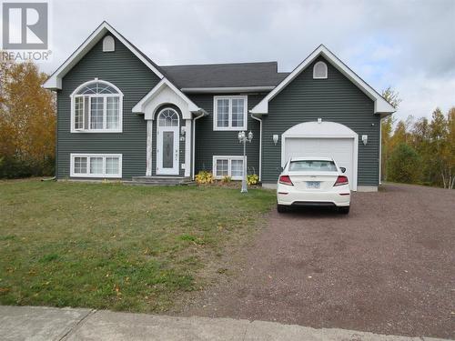 87 Peddle Drive, Grand Falls Windsor, NL - Outdoor With Facade