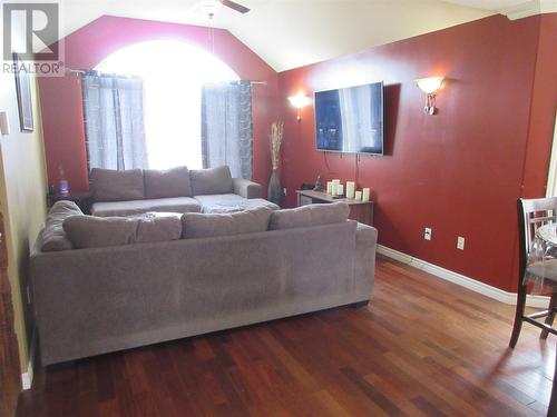 87 Peddle Drive, Grand Falls Windsor, NL - Indoor Photo Showing Living Room