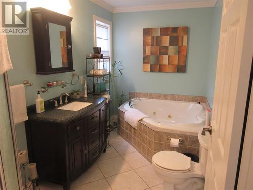 87 Peddle Drive, Grand Falls Windsor, NL - Indoor Photo Showing Bathroom