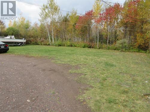 87 Peddle Drive, Grand Falls Windsor, NL - Outdoor