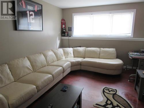 87 Peddle Drive, Grand Falls Windsor, NL - Indoor Photo Showing Living Room