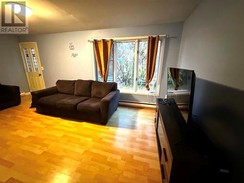 8 Tenth Avenue, Grand Falls-Windsor, NL - Indoor Photo Showing Living Room