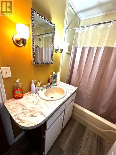 8 Tenth Avenue, Grand Falls-Windsor, NL - Indoor Photo Showing Bathroom