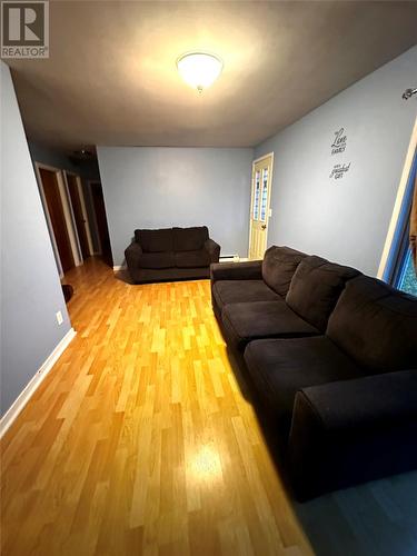 8 Tenth Avenue, Grand Falls-Windsor, NL - Indoor Photo Showing Living Room