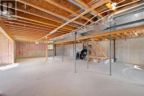 220 Deans Road, Witless Bay, NL - Indoor Photo Showing Basement