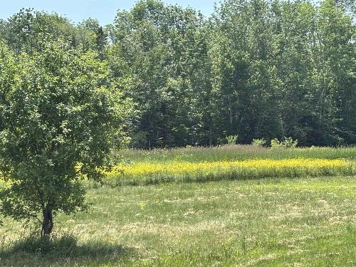 Lot 20-2B Highway 376, Lyons Brook, NS 