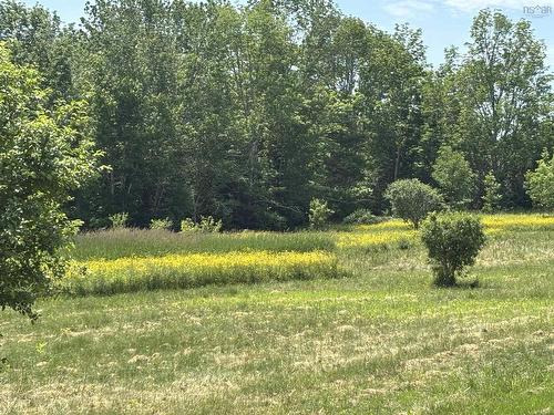 Lot 20-2B Highway 376, Lyons Brook, NS 