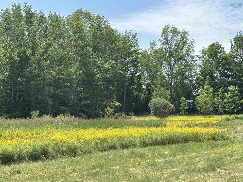 Lot 20-2B Highway 376, Lyons Brook, NS 