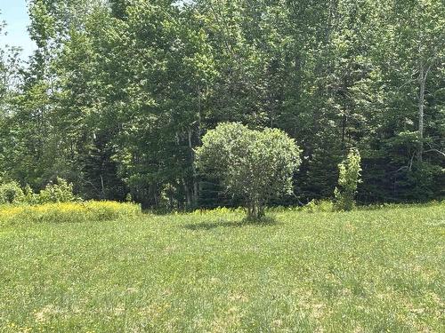 Lot 20-2B Highway 376, Lyons Brook, NS 