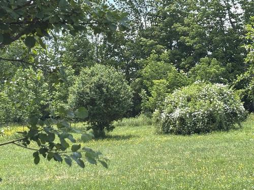 Lot 20-2B Highway 376, Lyons Brook, NS 