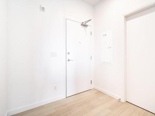 Hall - 517-3155 Av. Parkville, Montréal (Mercier/Hochelaga-Maisonneuve), QC - Indoor Photo Showing Other Room