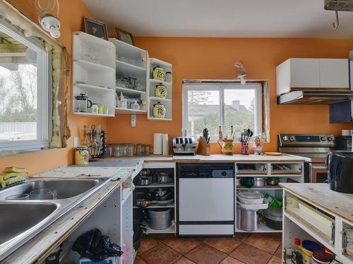 Cuisine - 105 Route St-Denys-Garneau, Sainte-Catherine-De-La-Jacques-Cartier, QC - Indoor Photo Showing Kitchen With Double Sink